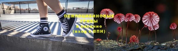 ALPHA PVP Костерёво