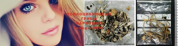 ALPHA PVP Костерёво