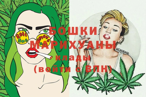гидропоника Коряжма