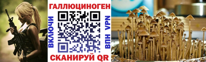 Псилоцибиновые грибы прущие грибы  Купить закладки  Адыгейск 